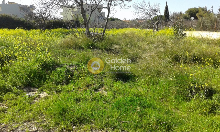 Οικόπεδο 4.000 τ.μ. προς πώληση, Λαγονήσι