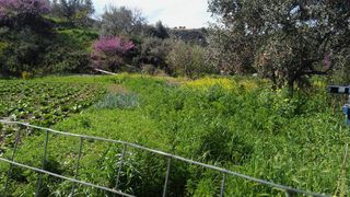 Οικόπεδο 1.032 τ.μ. για πώληση