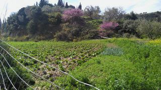 Οικόπεδο 1.032 τ.μ. για πώληση, Αχαΐα, Πάτρα-thumb-12
