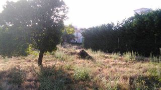 Οικόπεδο 9.000 τ.μ. για πώληση, Αχαΐα, Παραλία-thumb-3