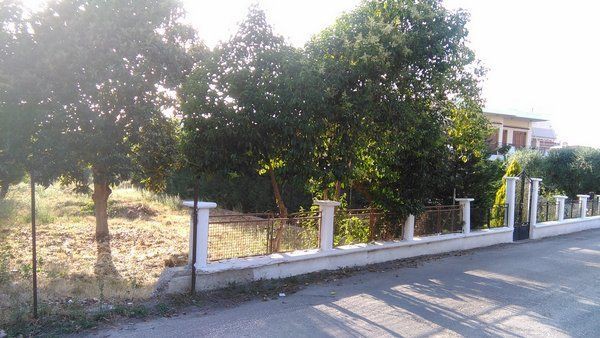 Οικόπεδο 9.000 τ.μ. προς πώληση, Αχαΐα, Παραλία