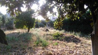 Οικόπεδο 9.000 τ.μ. για πώληση