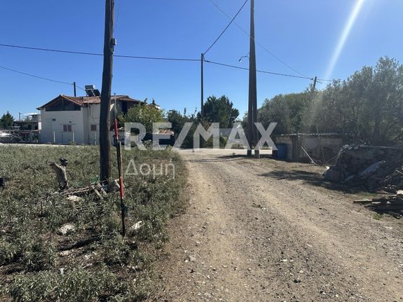 Αγροτεμάχια 10.000 τ.μ. για πώληση, Μαγνησία, Νέα Αγχίαλος