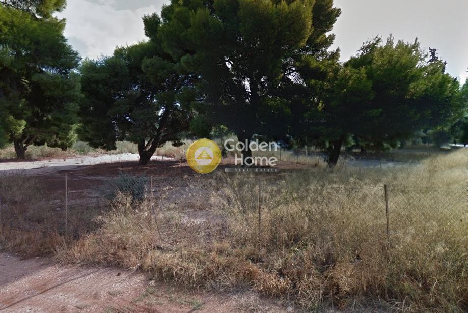 Οικόπεδο 1.609 τ.μ. προς πώληση, Αδάμες (Οικισμός Πελοποννησίων)