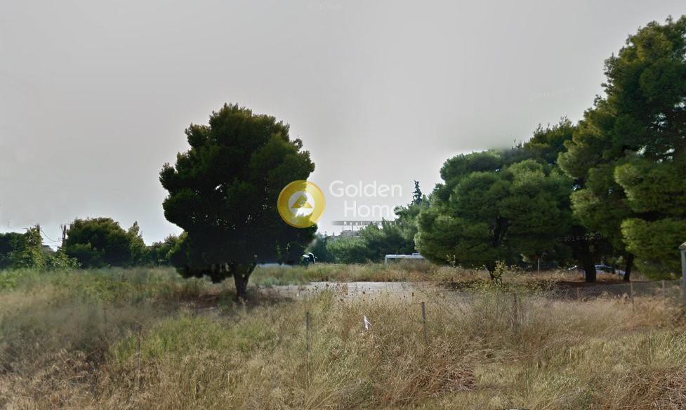 Οικόπεδο 1.609 τ.μ. προς πώληση, Αδάμες (Οικισμός Πελοποννησίων)