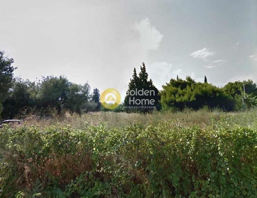 Οικόπεδο 1.609 τ.μ. προς πώληση, Αδάμες (Οικισμός Πελοποννησίων)
