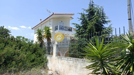 Μονοκατοικία 300 τ.μ. για πώληση