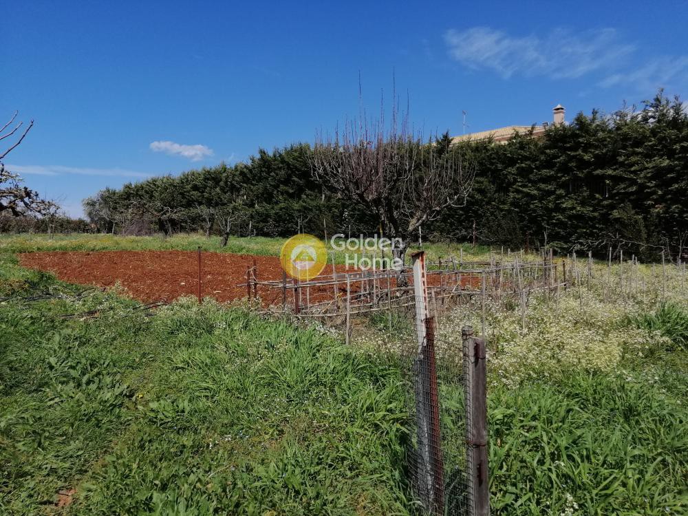 Συγκρότημα διαμερισμάτων 340 τ.μ. προς πώληση, Καπανδρίτι Αττικής