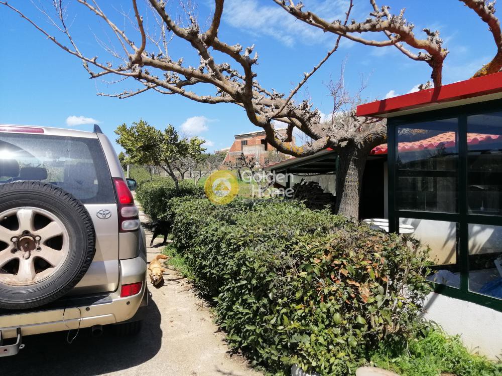 Συγκρότημα διαμερισμάτων 340 τ.μ. προς πώληση, Καπανδρίτι Αττικής