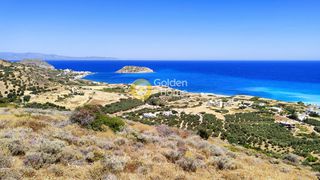 Οικόπεδο 23.400 τ.μ. για πώληση, Ν. Λασιθίου, Σητεία-thumb-2