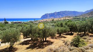 Οικόπεδο 23.400 τ.μ. για πώληση, Ν. Λασιθίου, Σητεία-thumb-3