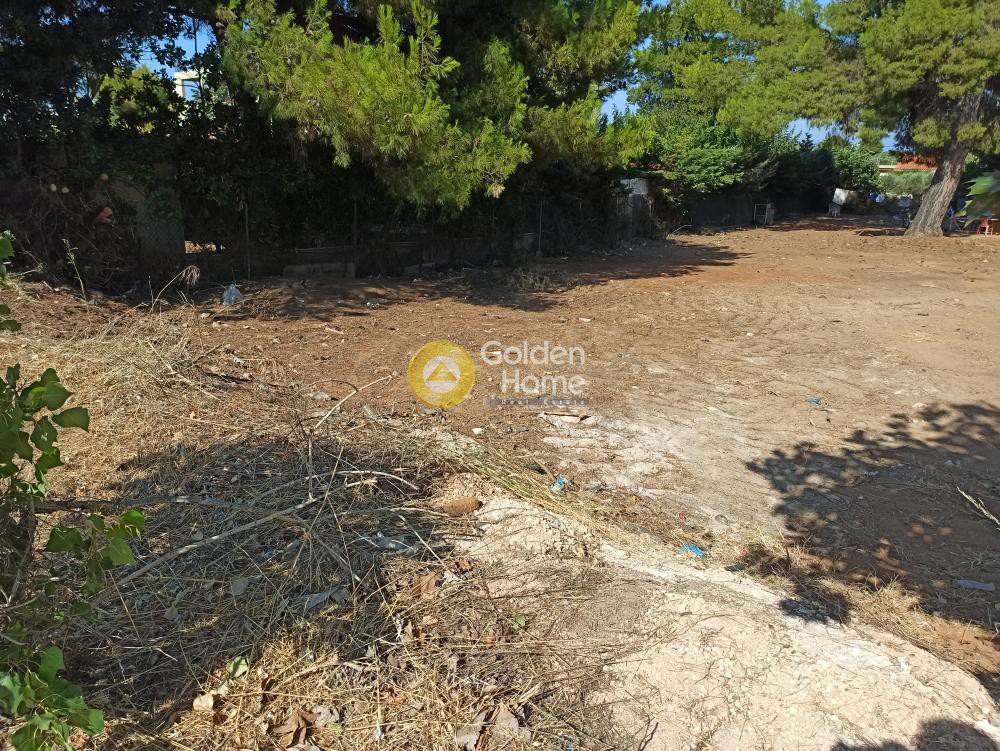Οικόπεδο 1.005 τ.μ. προς πώληση, Ζούμπερι