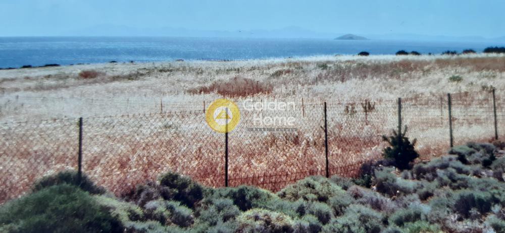 Αγροτεμάχια 5.460 τ.μ. προς πώληση, Κανάκι