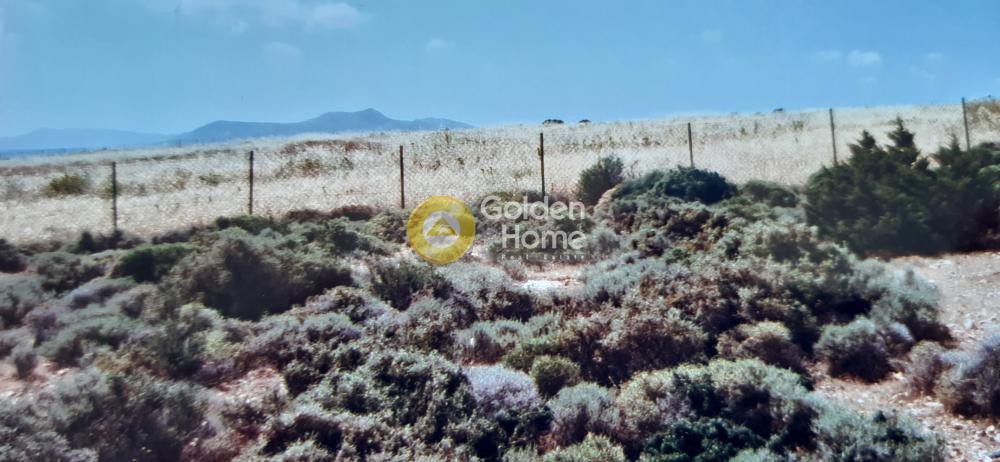 Αγροτεμάχια 5.460 τ.μ. προς πώληση, Κανάκι