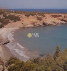 Αγροτεμάχια 5.460 τ.μ. για πώληση