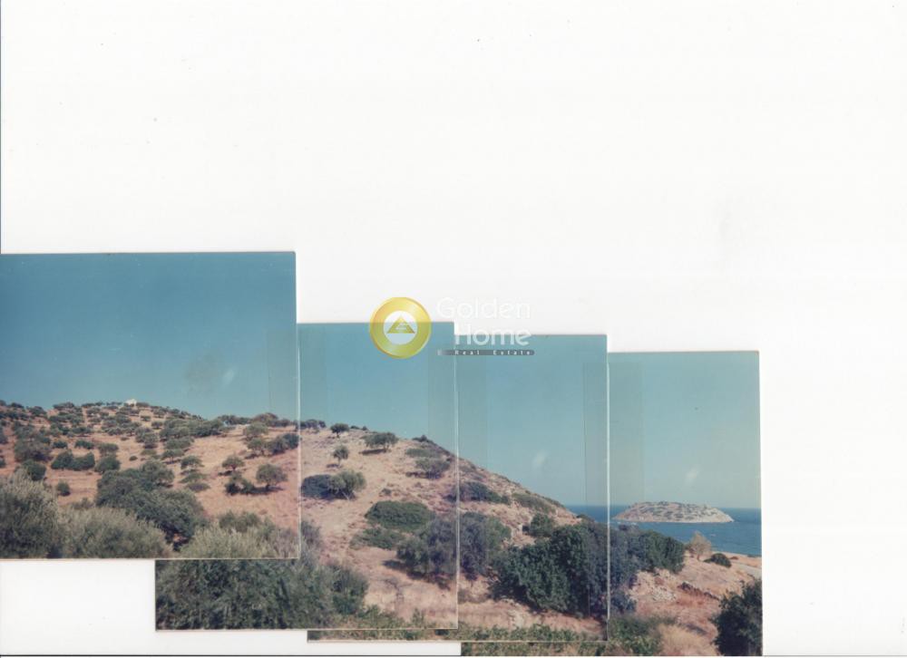 Αγροτεμάχια 35.000 τ.μ. προς πώληση, Άγιο Πνεύμα Σητείας