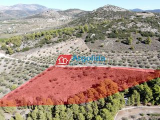 Αγροτεμάχια 6.360 τ.μ. για πώληση, Αργολίδα, Νέα Τίρυνθα-thumb-2