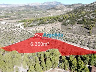 Αγροτεμάχια 6.360 τ.μ. για πώληση, Αργολίδα, Νέα Τίρυνθα-thumb-12