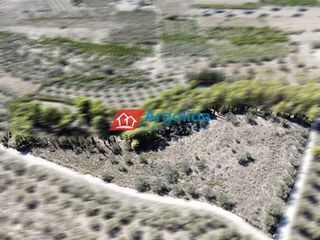 Αγροτεμάχια 6.360 τ.μ. για πώληση, Αργολίδα, Νέα Τίρυνθα-thumb-9