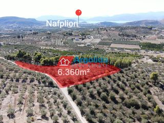 Αγροτεμάχια 6.360 τ.μ. για πώληση