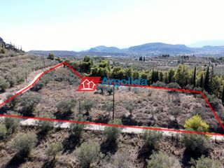 Αγροτεμάχια 6.360 τ.μ. για πώληση, Αργολίδα, Νέα Τίρυνθα-thumb-15