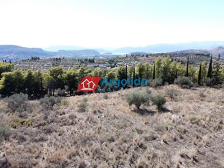 Αγροτεμάχια 6.360 τ.μ. για πώληση, Αργολίδα, Νέα Τίρυνθα-thumb-18