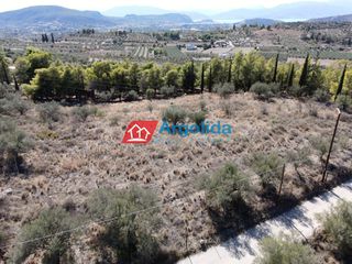 Αγροτεμάχια 6.360 τ.μ. για πώληση, Αργολίδα, Νέα Τίρυνθα-thumb-3