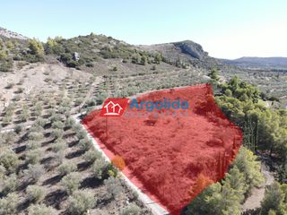 Αγροτεμάχια 6.360 τ.μ. για πώληση, Αργολίδα, Νέα Τίρυνθα-thumb-10