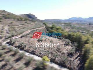 Αγροτεμάχια 6.360 τ.μ. για πώληση, Αργολίδα, Νέα Τίρυνθα-thumb-13