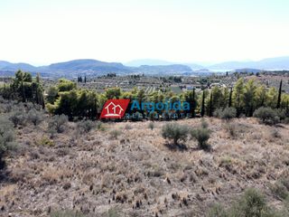 Αγροτεμάχια 6.360 τ.μ. για πώληση, Αργολίδα, Νέα Τίρυνθα-thumb-14