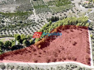 Αγροτεμάχια 6.360 τ.μ. για πώληση, Αργολίδα, Νέα Τίρυνθα-thumb-4