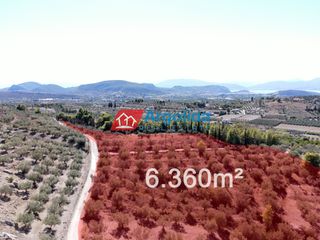 Αγροτεμάχια 6.360 τ.μ. για πώληση, Αργολίδα, Νέα Τίρυνθα-thumb-17