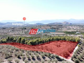 Αγροτεμάχια 6.360 τ.μ. για πώληση, Αργολίδα, Νέα Τίρυνθα-thumb-8
