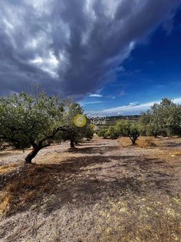 Αγροτεμάχια 2.285τ.μ. για πώληση-Γούβες » Επάνω βάθεια