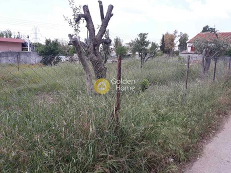 Αγροτεμάχια 400τ.μ. για πώληση-Αχαρνές » Αγριλέζα