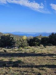 Αγροτεμάχια 8.000 τ.μ. για πώληση