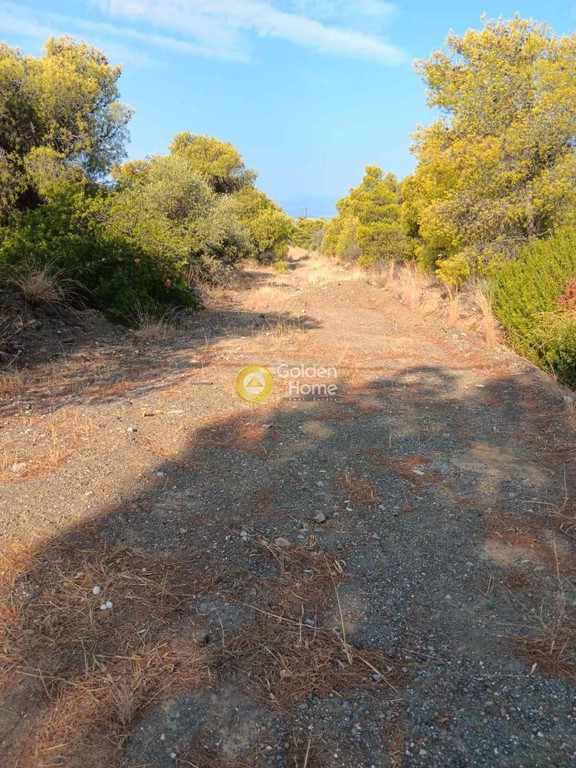 Οικόπεδο 4.350 τ.μ. προς πώληση, Λουτράκι Κορινθίας