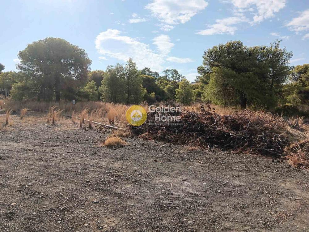 Οικόπεδο 4.350 τ.μ. προς πώληση, Λουτράκι Κορινθίας