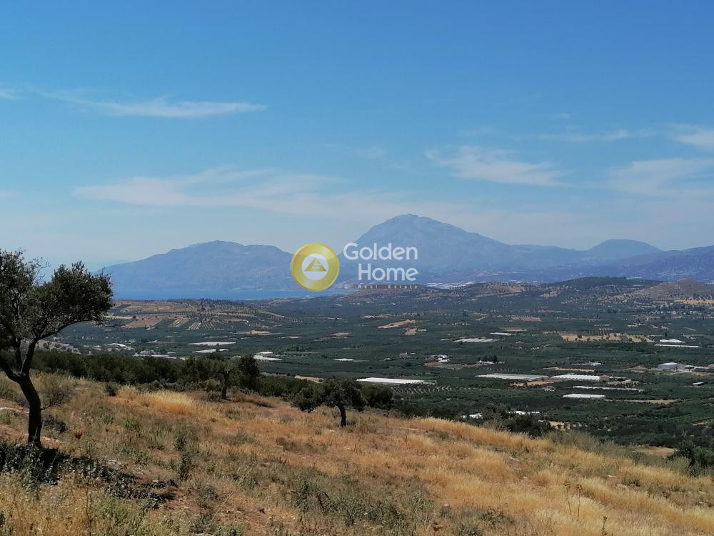 Οικόπεδο 6.800 τ.μ. προς πώληση, Κουσές