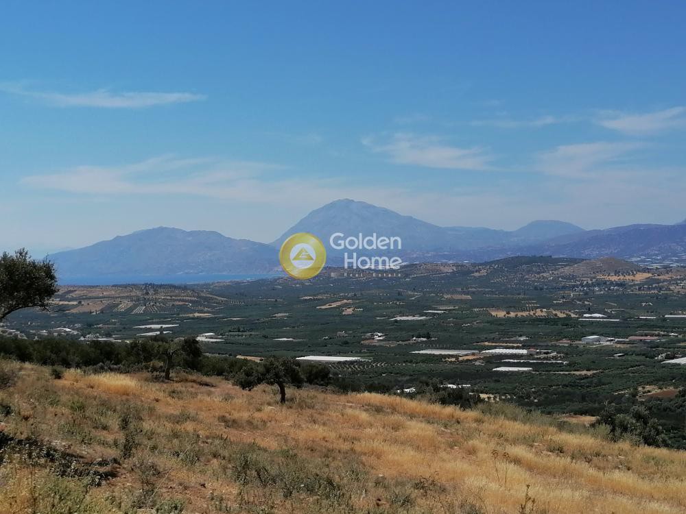 Οικόπεδο 6.800 τ.μ. προς πώληση, Κουσές