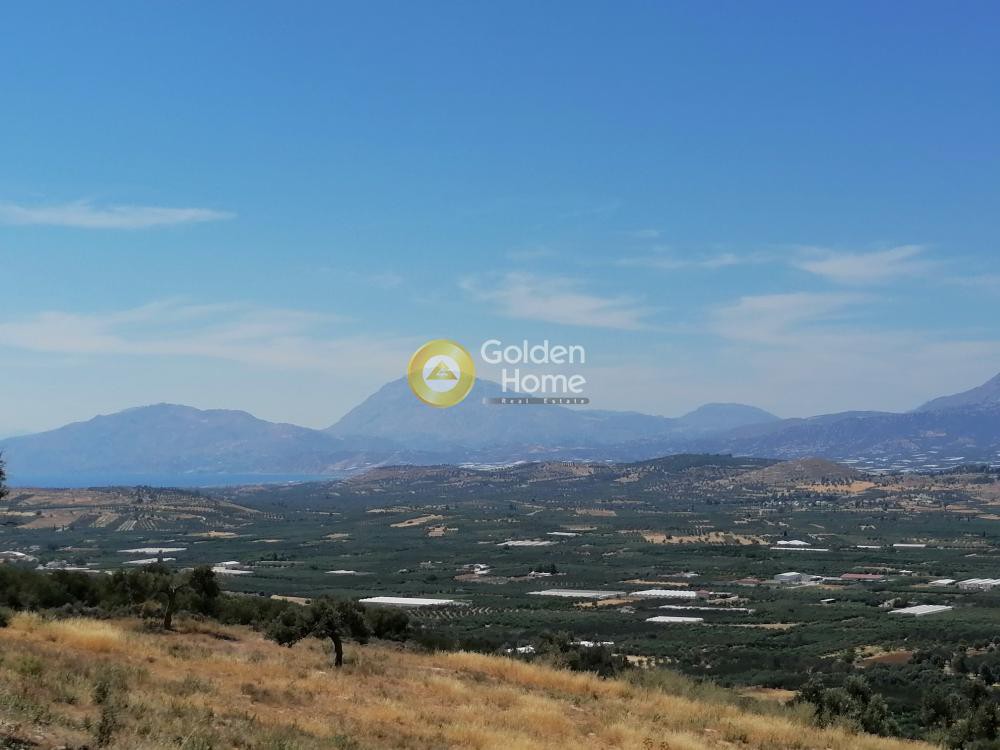 Οικόπεδο 6.800 τ.μ. προς πώληση, Κουσές