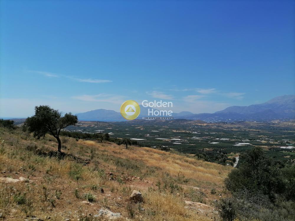 Οικόπεδο 6.800 τ.μ. προς πώληση, Κουσές