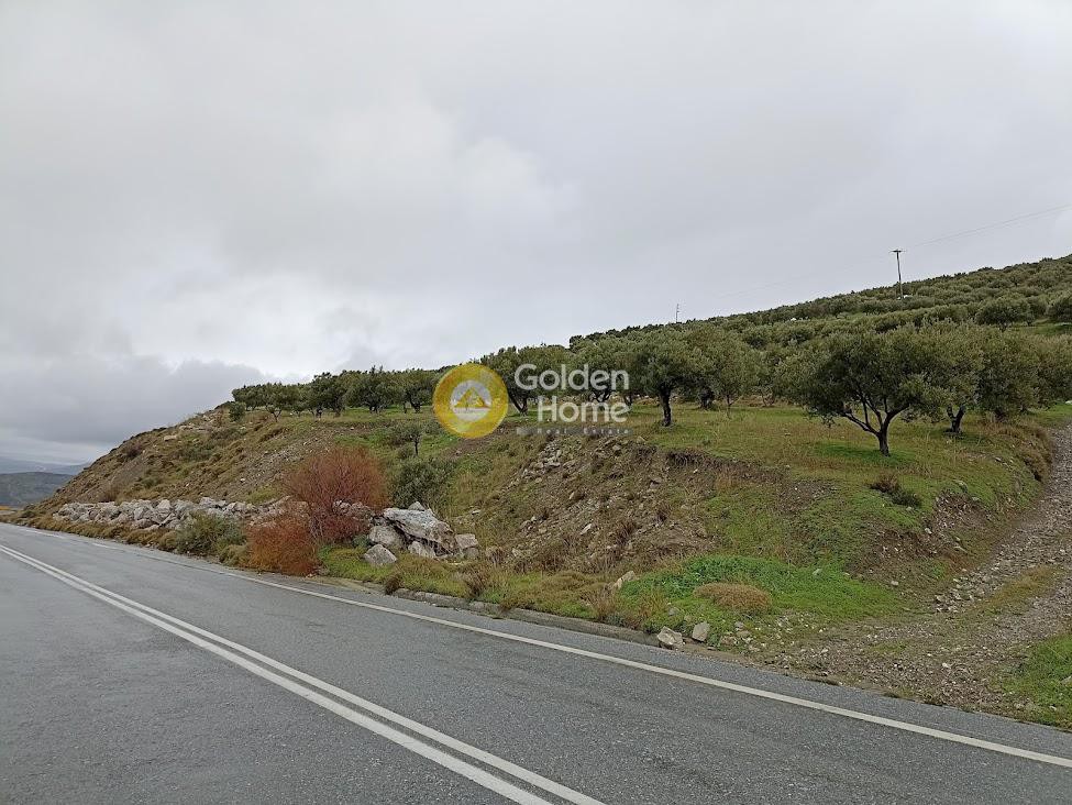 Οικόπεδο 6.280 τ.μ. προς πώληση, Τσαγκαράκι