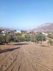 Οικόπεδο 6.500 τ.μ. για πώληση
