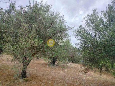 Land plot 1.700sqm for sale-Tilisos » Keramoutsi