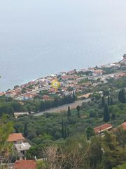 Οικόπεδο 3.000 τ.μ. για πώληση