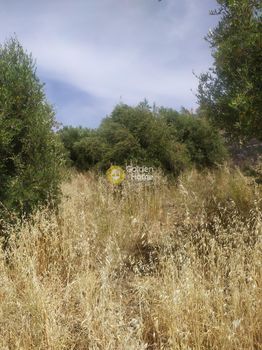Οικόπεδο 2.000τ.μ. για πώληση-Χερσόνησος » Πισκοπιανό
