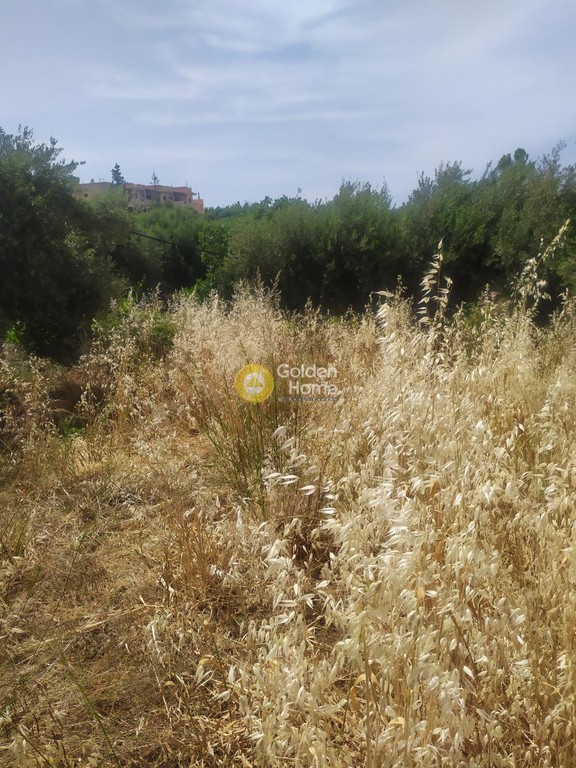 Οικόπεδο 2.000 τ.μ. προς πώληση, Πισκοπιανό