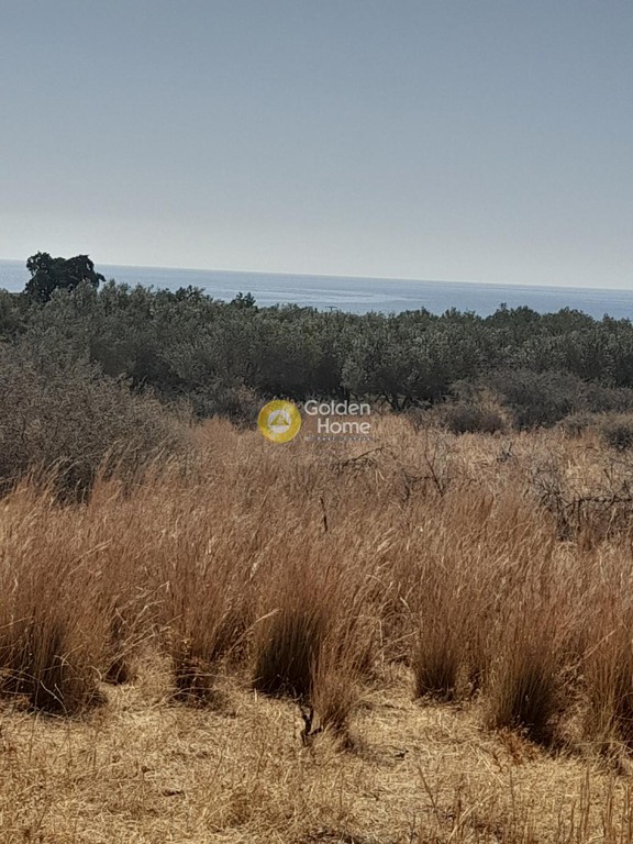 Οικόπεδο 4.000 τ.μ. προς πώληση, Δέρματος