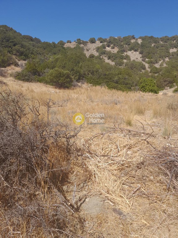 Οικόπεδο 4.000 τ.μ. προς πώληση, Δέρματος